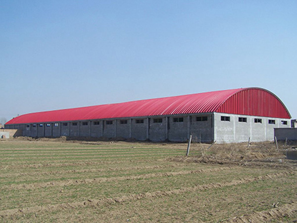 700�͹������