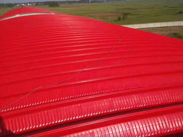 700�͹������