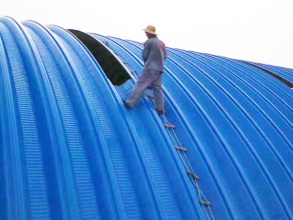 700�͹������